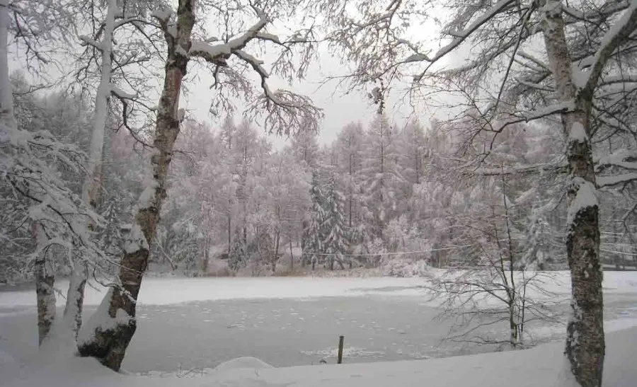 長野県茅野市・美濃戸高原フォレストリゾートの森を抜ける静かな小径