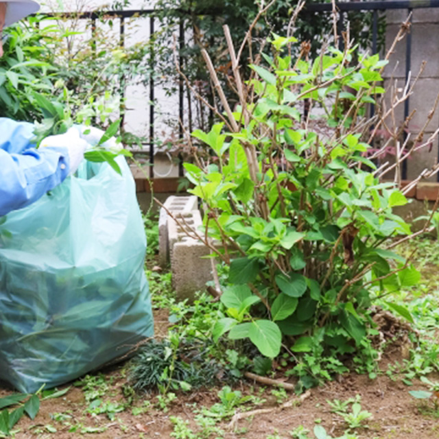 別荘敷地内で草木が生い茂り、草刈りが大変なイメージ画像