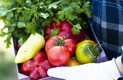 たてしな自由農園 原村店
