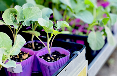 JAファームふじみ